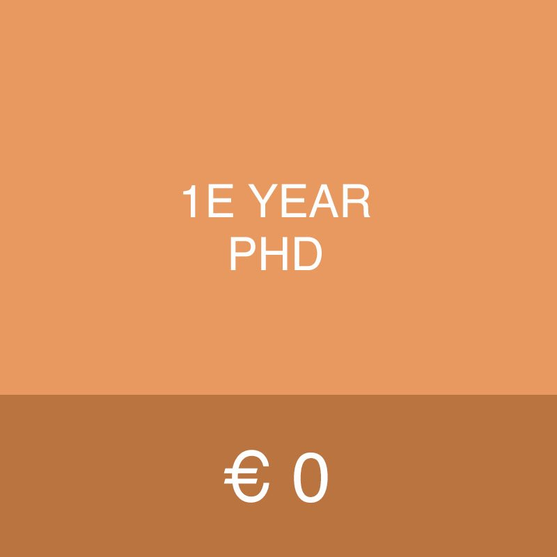 1e Year PhD